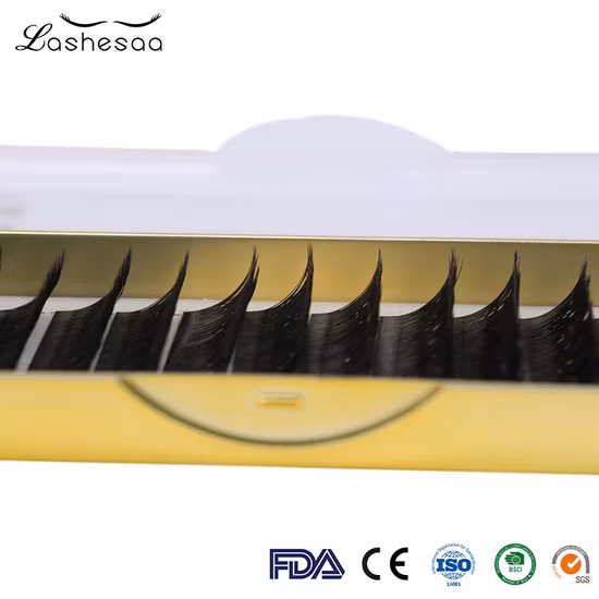 볼륨 속눈썹 속눈썹 연장, 미리 만들어진 팬, 12/24/48, 클러스터 속눈썹, 프리 팬 속눈썹, 볼륨 속눈썹, DIY 속눈썹 연장